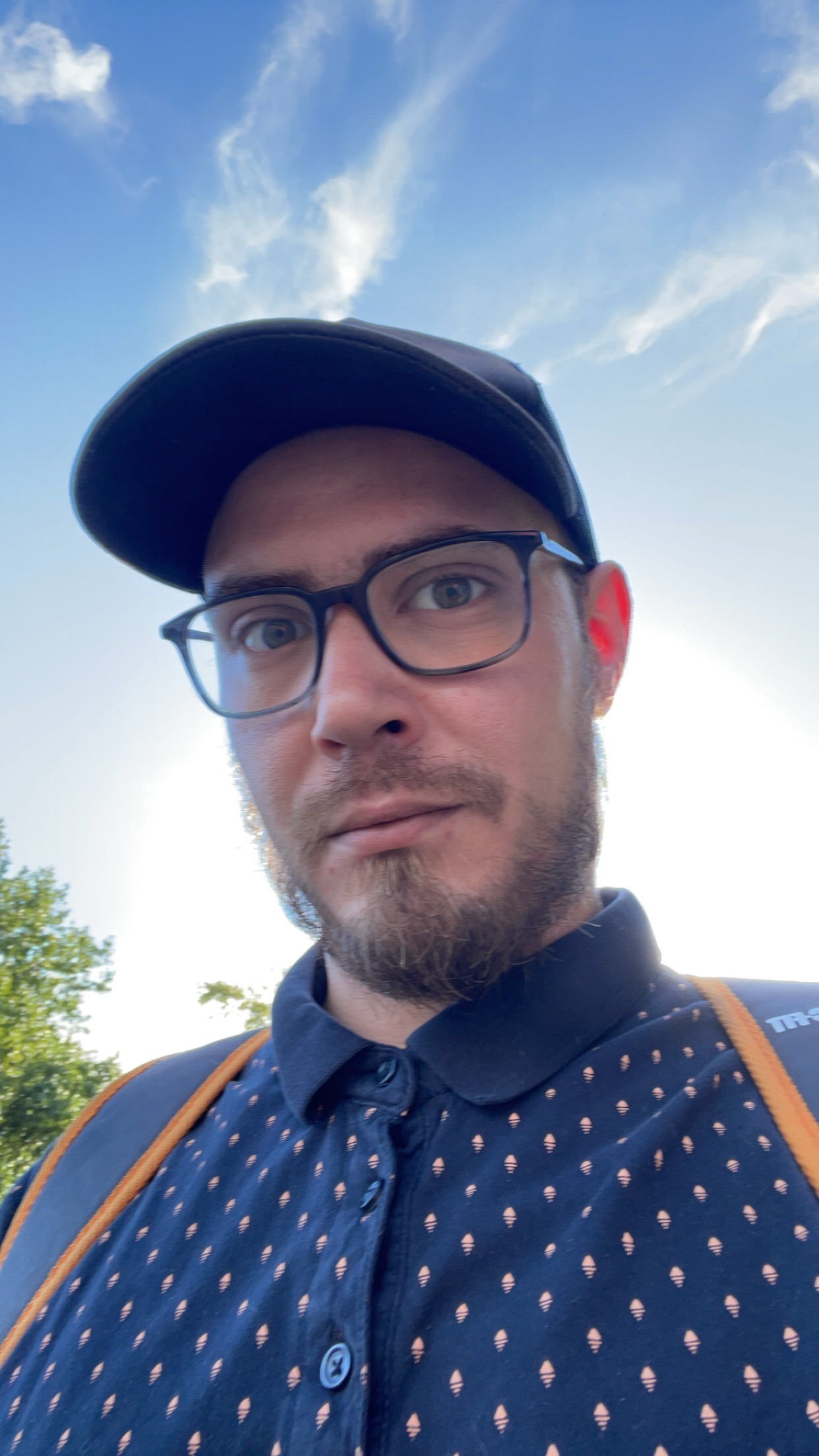 Profilo di Enguerran