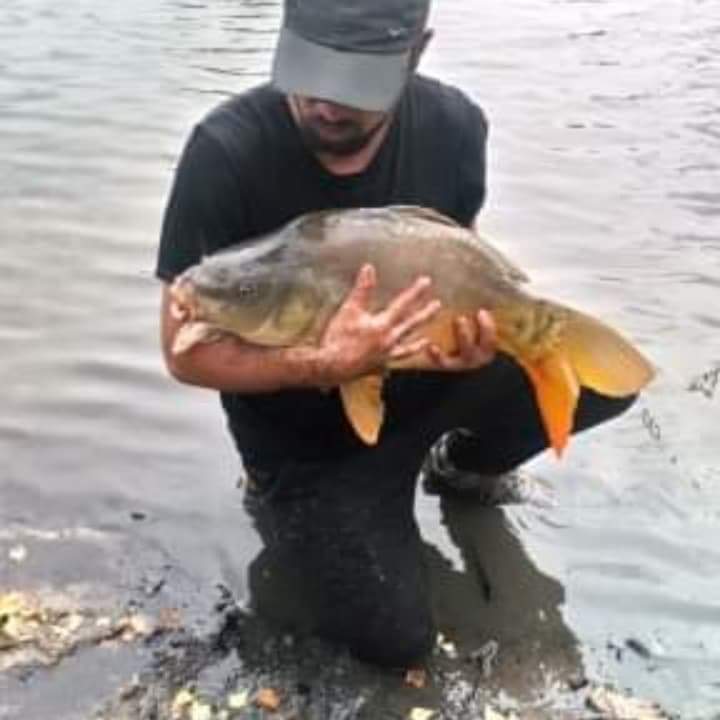 Profilo di Tancrède