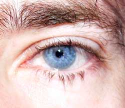 Profilo di Louis-maxence