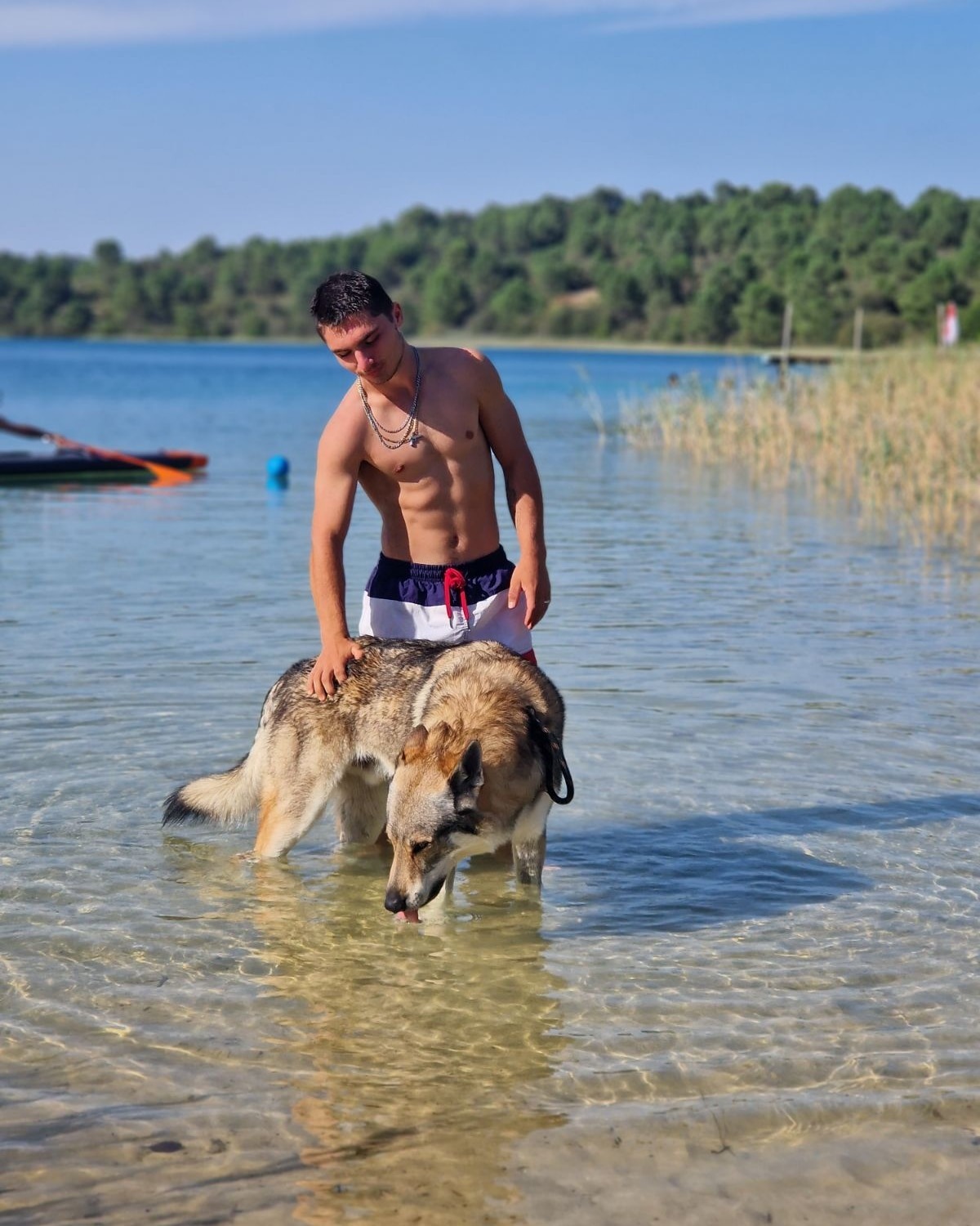 Profilo di Louis-thomas